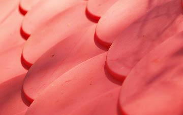 Derril plastic roof costs