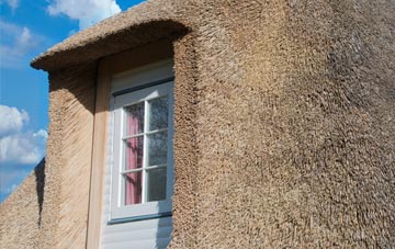 Derril thatch roof disadvantages